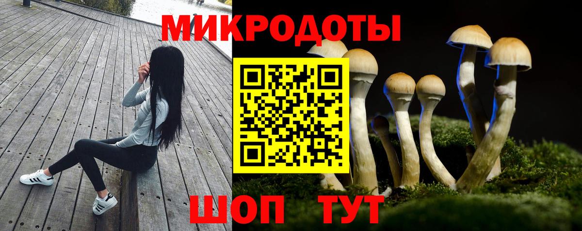 Губкин  Псилоцибиновые грибы Psilocybe  Вход с VPN 